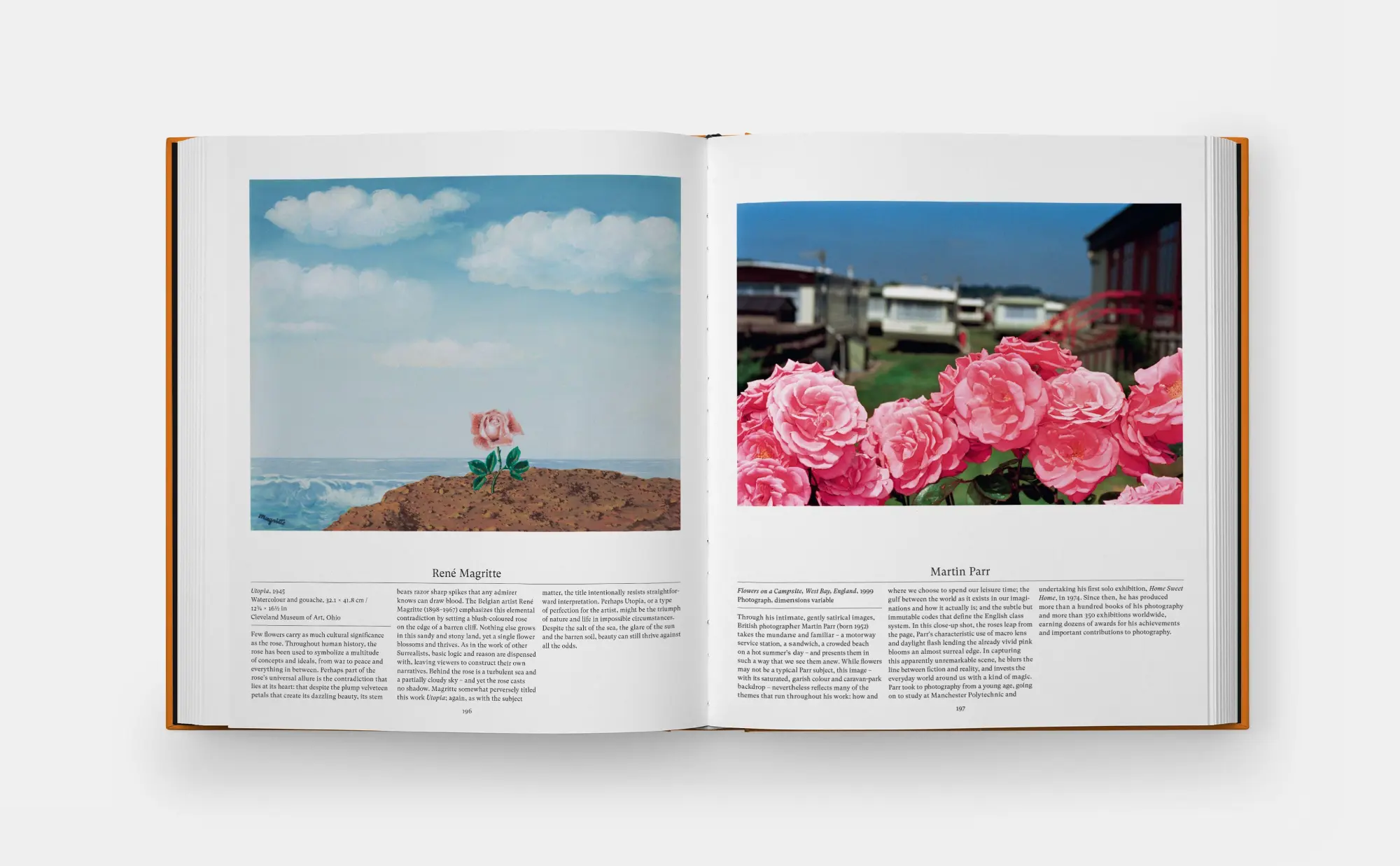 Bild: 9781837291458 | Flower: Exploring the World in Bloom | Compact Edition | Buch | 348 S.