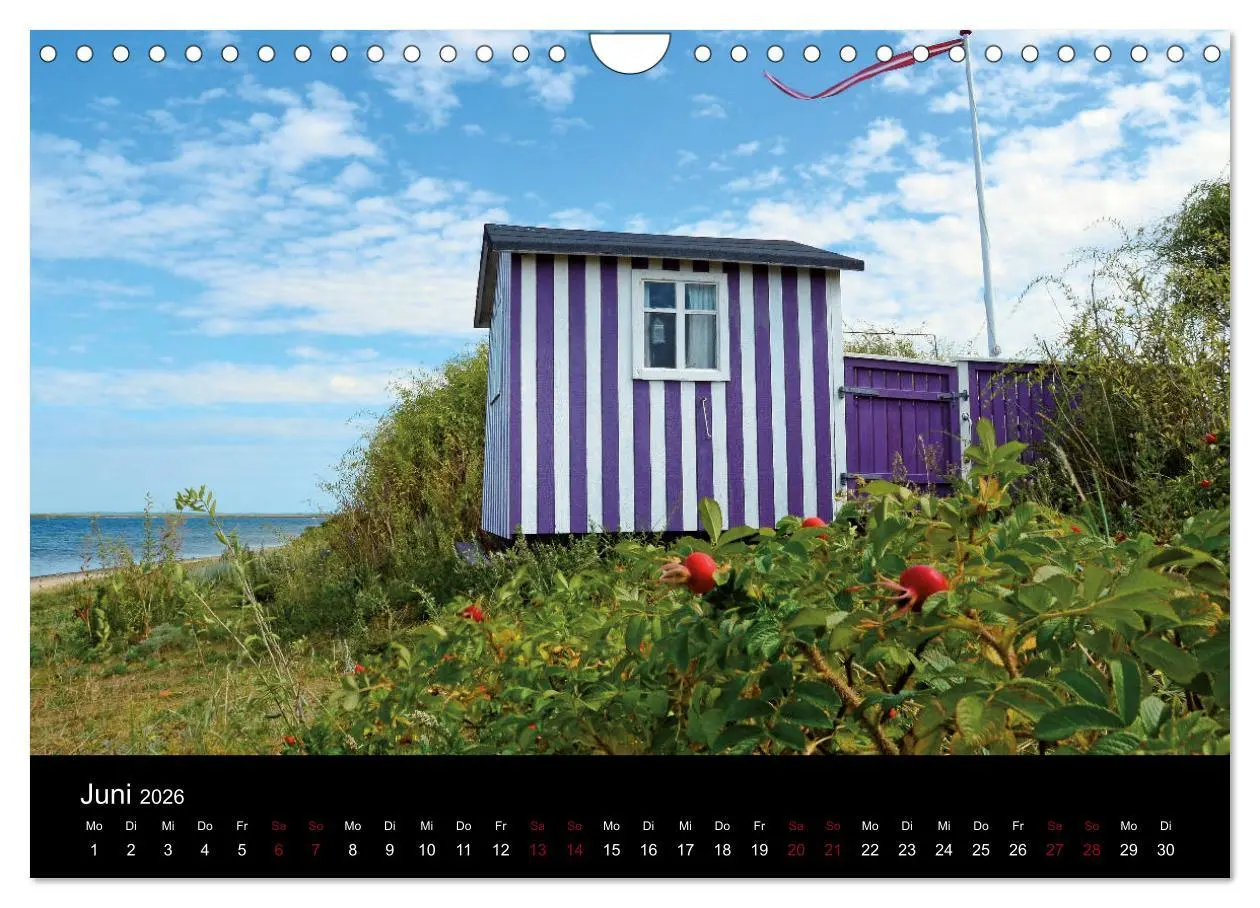 Bild: 9783457831458 | Segelsommer - Dänische Südsee (Wandkalender 2026 DIN A4 quer),...