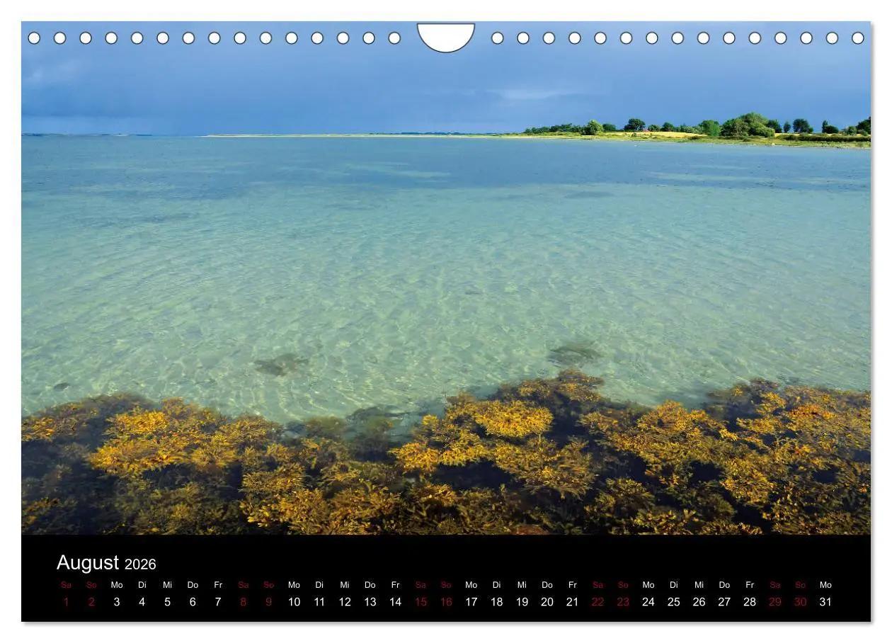 Bild: 9783457831458 | Segelsommer - Dänische Südsee (Wandkalender 2026 DIN A4 quer),...