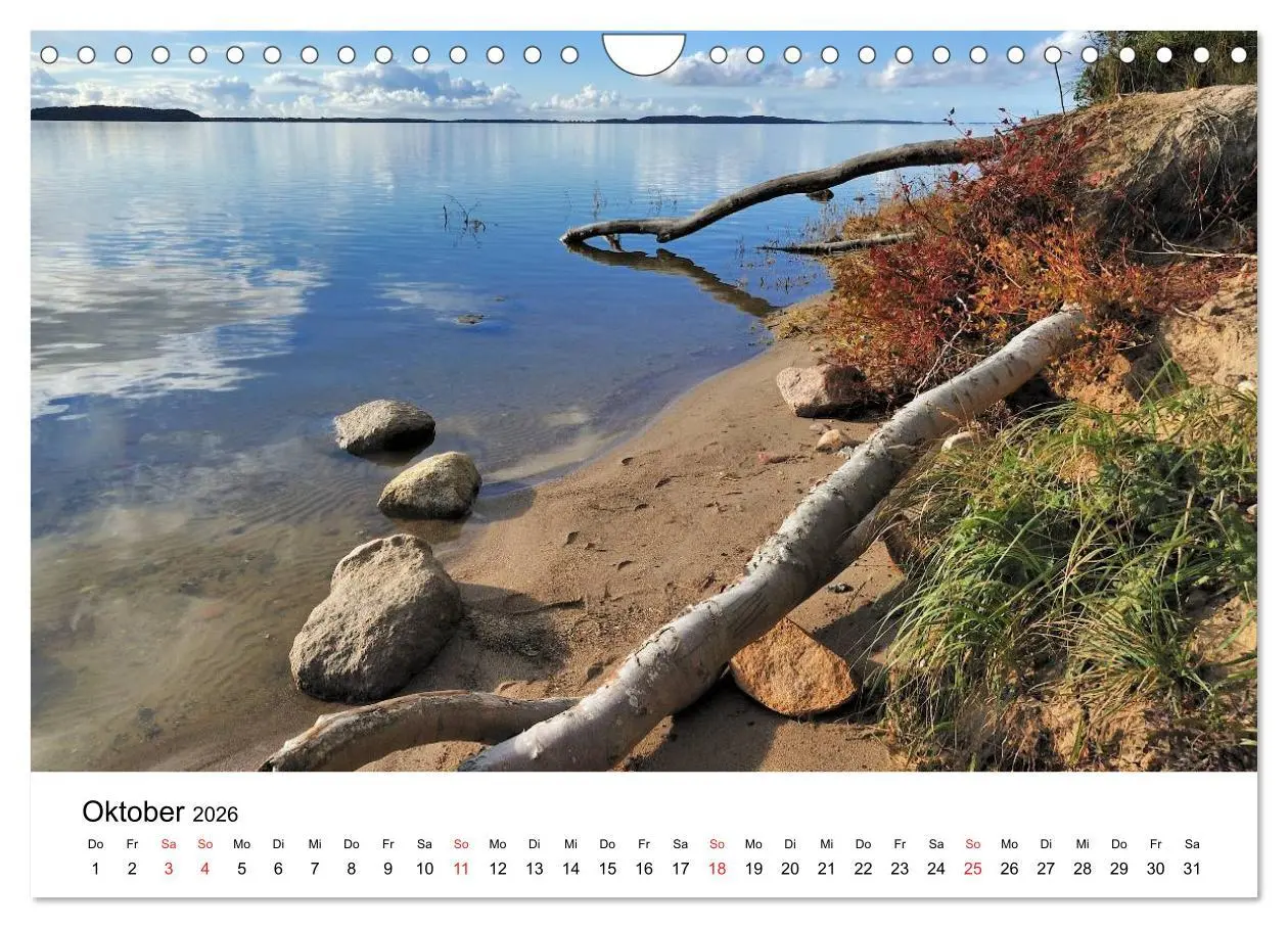 Bild: 9783516231458 | Insel Rügen (Wandkalender 2026 DIN A4 quer), CALVENDO Monatskalender