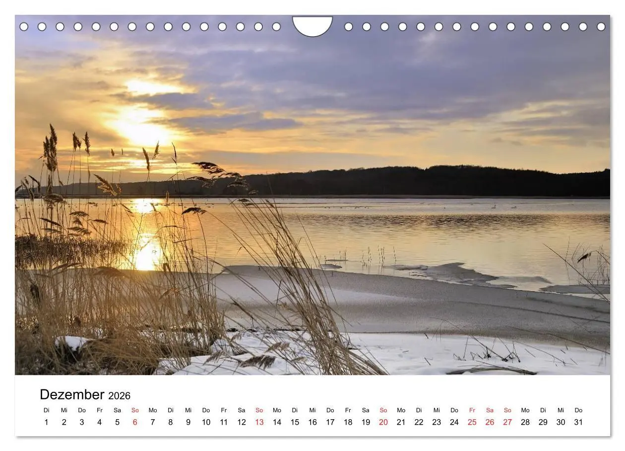 Bild: 9783516231458 | Insel Rügen (Wandkalender 2026 DIN A4 quer), CALVENDO Monatskalender