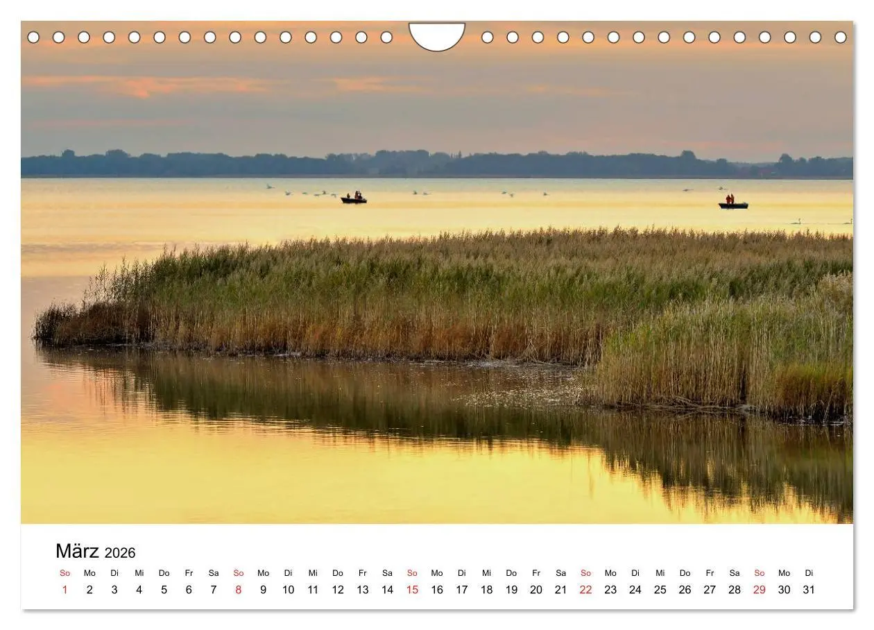 Bild: 9783516231458 | Insel Rügen (Wandkalender 2026 DIN A4 quer), CALVENDO Monatskalender