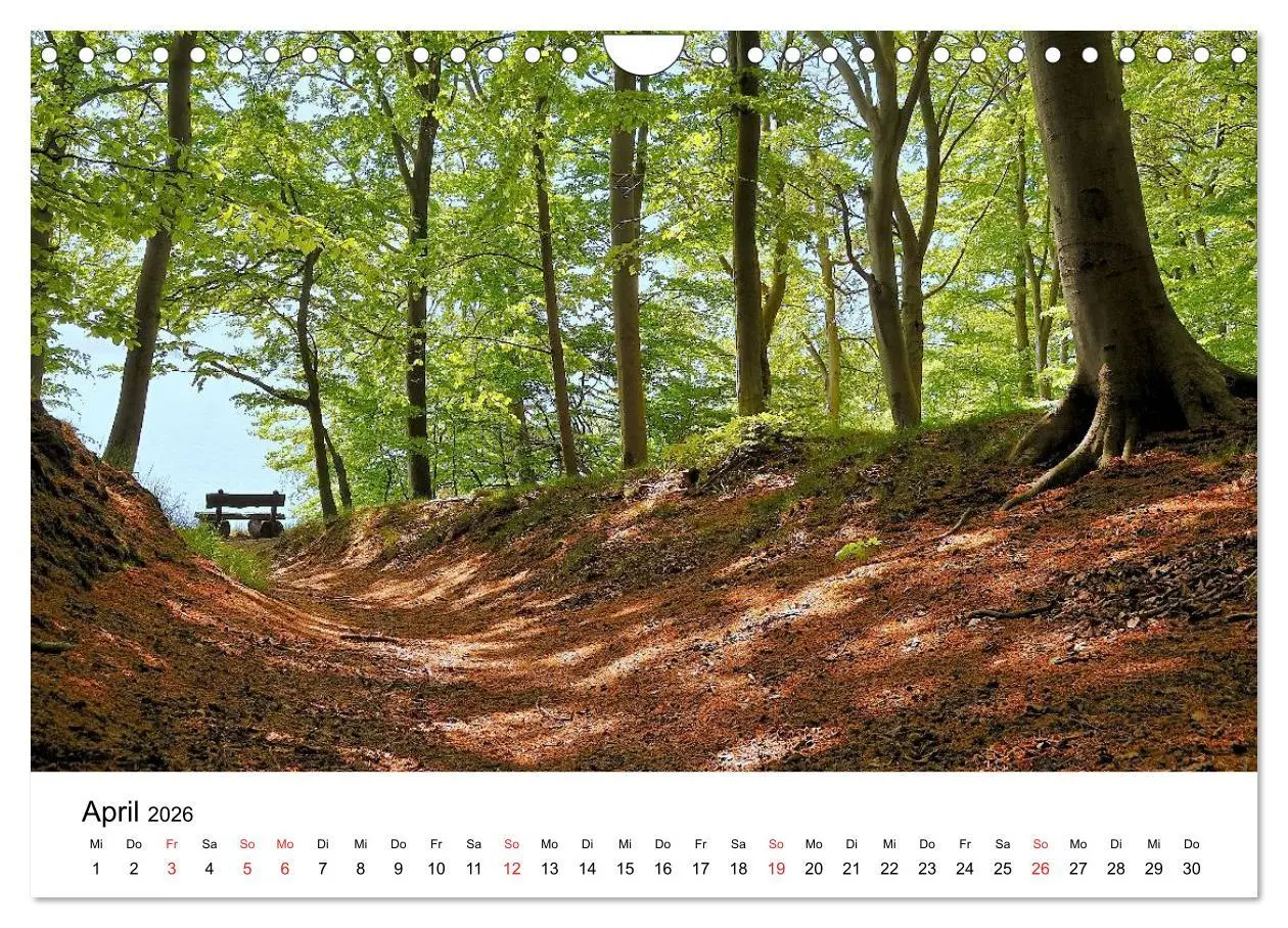 Bild: 9783516231458 | Insel Rügen (Wandkalender 2026 DIN A4 quer), CALVENDO Monatskalender