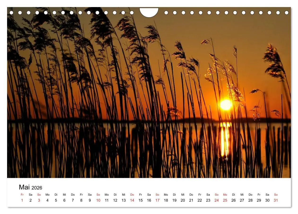 Bild: 9783516231458 | Insel Rügen (Wandkalender 2026 DIN A4 quer), CALVENDO Monatskalender