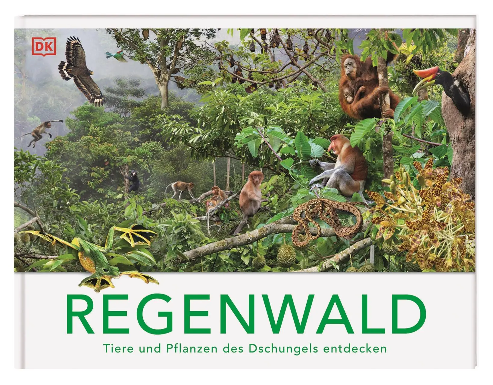 Cover: 9783831051458 | Regenwald | Michael Leach (u. a.) | Buch | 32 S. | Deutsch | 2025