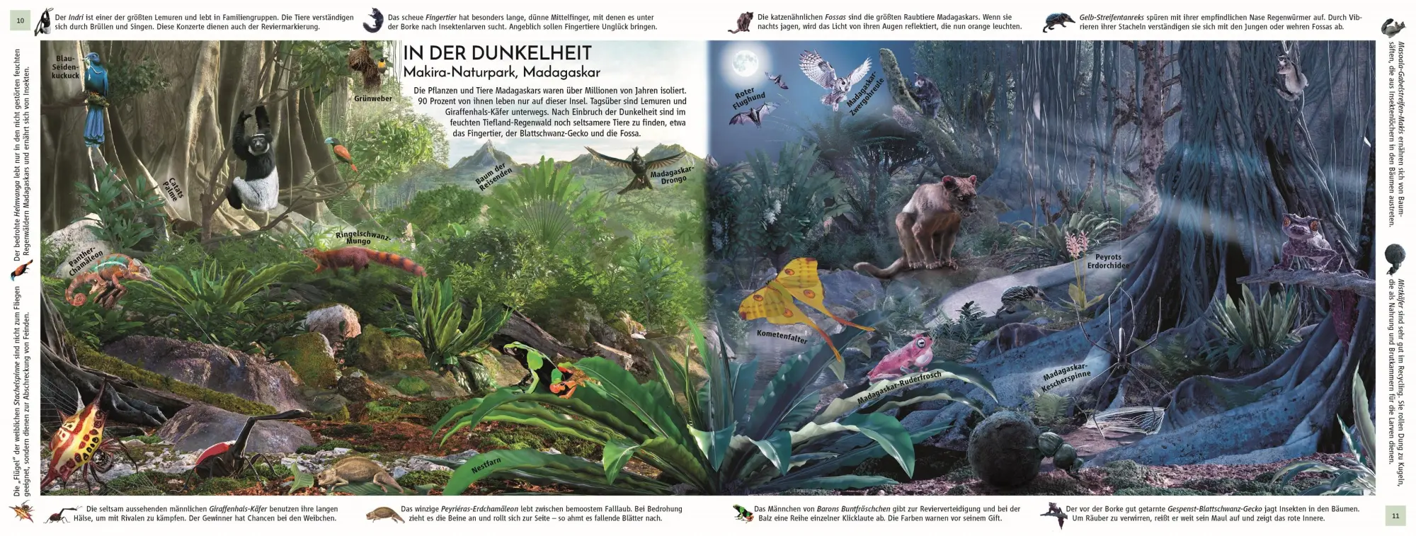 Bild: 9783831051458 | Regenwald | Michael Leach (u. a.) | Buch | 32 S. | Deutsch | 2025