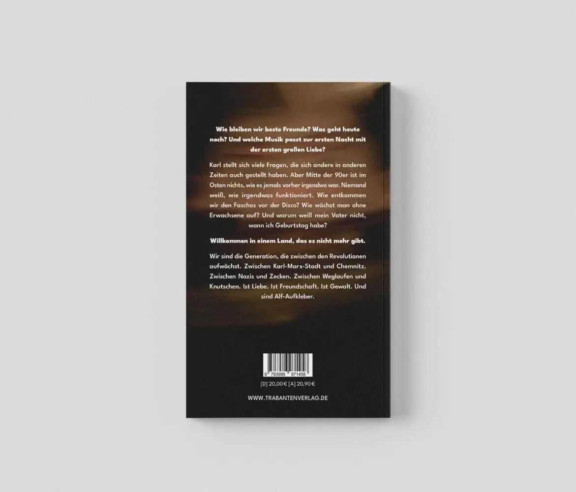 Bild: 9783986971458 | Als alles passierte | Felix Wetzel | Taschenbuch | 290 S. | Deutsch