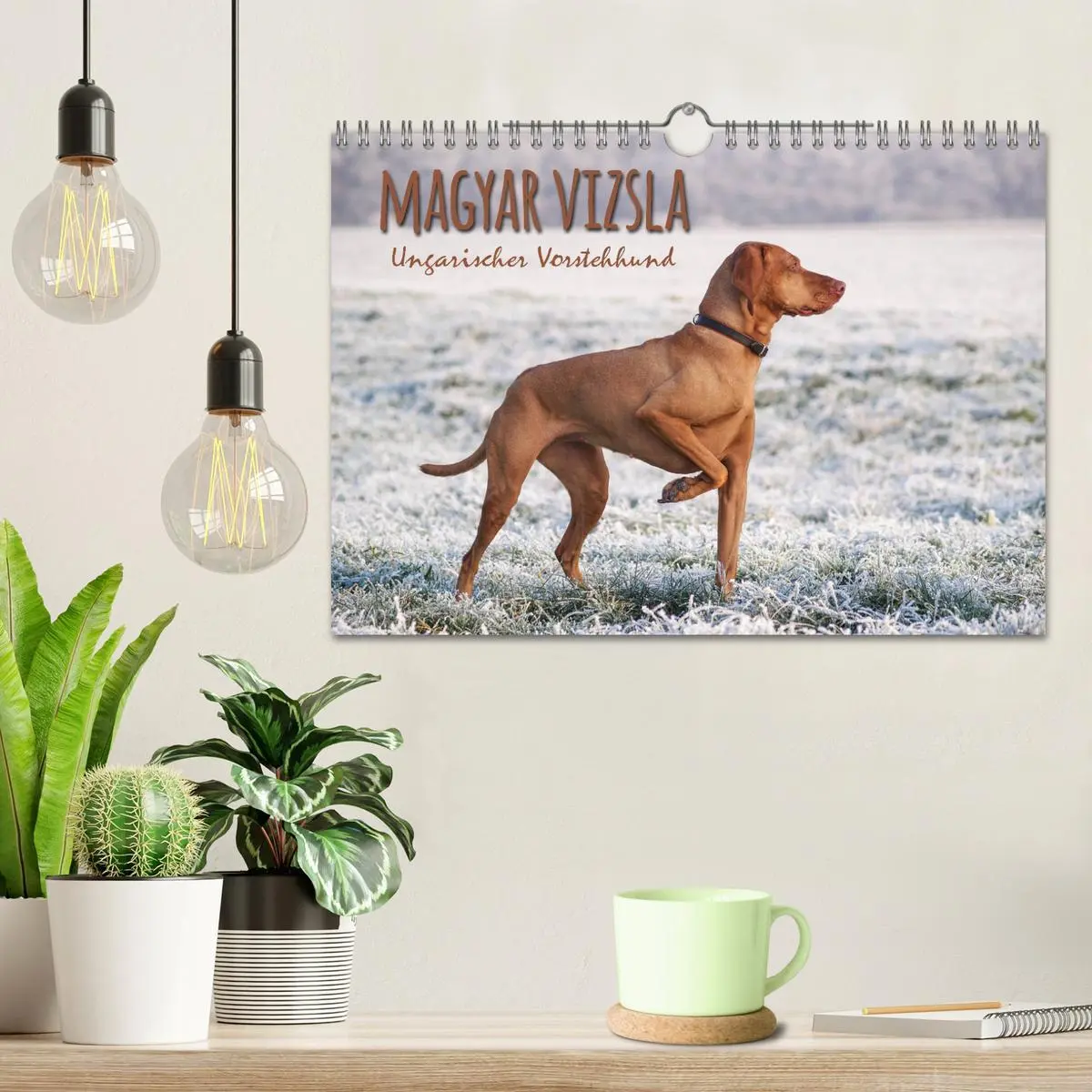 Bild: 9783457821558 | Magyar Vizsla - Ungarischer Vorstehhund (Wandkalender 2026 DIN A4...