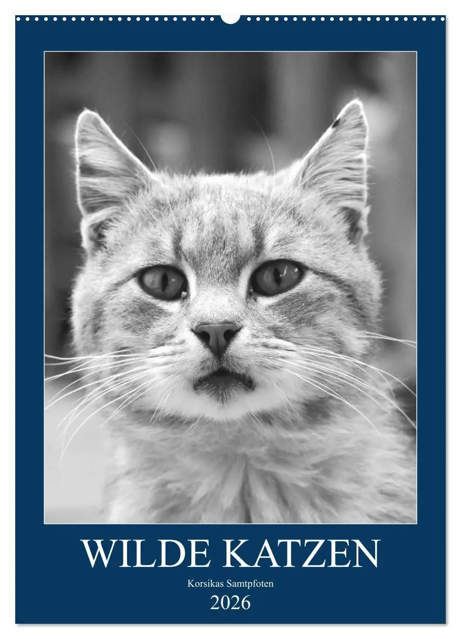 Cover: 9783516391558 | Wilde Katzen - Korsikas Samtpfoten (Wandkalender 2026 DIN A2 hoch),...
