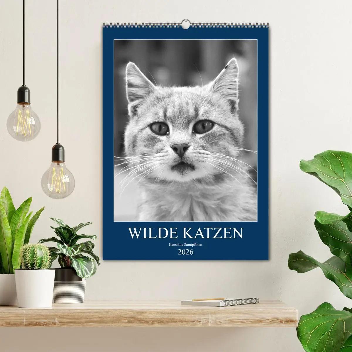 Bild: 9783516391558 | Wilde Katzen - Korsikas Samtpfoten (Wandkalender 2026 DIN A2 hoch),...