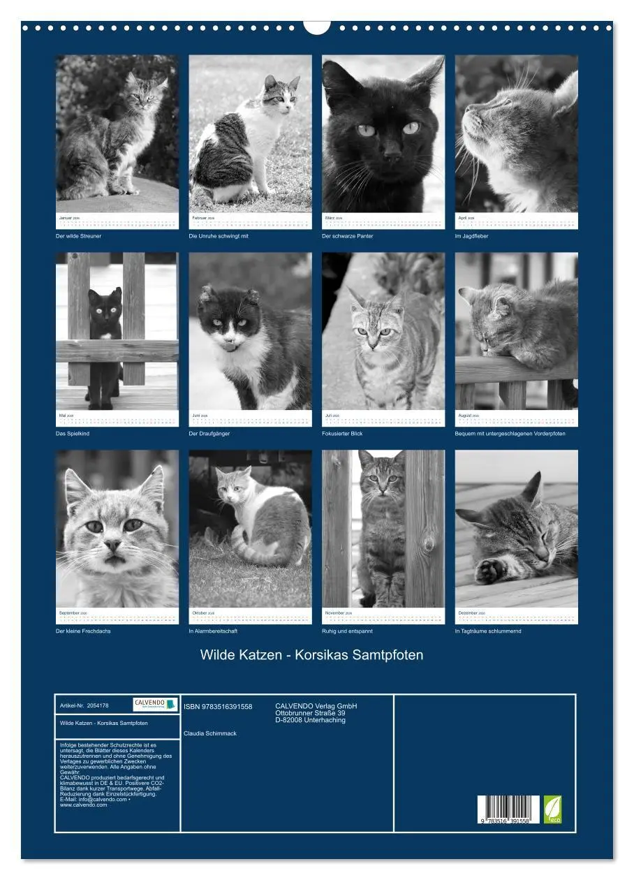 Bild: 9783516391558 | Wilde Katzen - Korsikas Samtpfoten (Wandkalender 2026 DIN A2 hoch),...