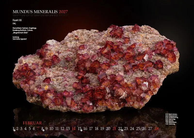 Bild: 9783957561558 | MUNDUS MINERALIS 2027 | Die Welt der Mineralien | Jörg Neubert | 2027