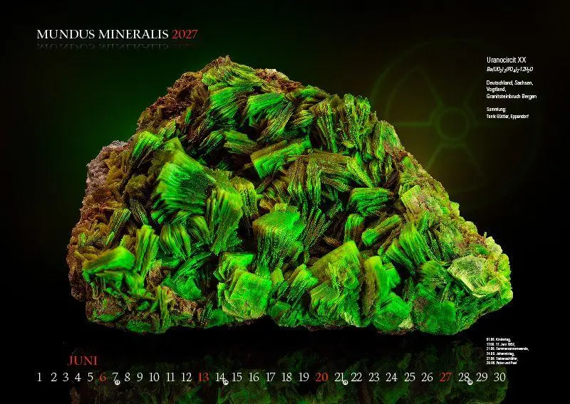 Bild: 9783957561558 | MUNDUS MINERALIS 2027 | Die Welt der Mineralien | Jörg Neubert | 2027