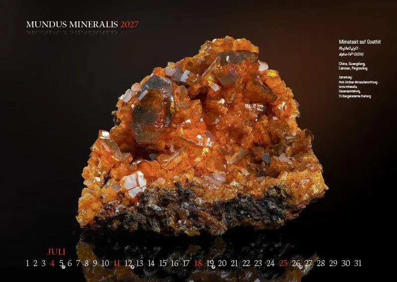 Bild: 9783957561558 | MUNDUS MINERALIS 2027 | Die Welt der Mineralien | Jörg Neubert | 2027