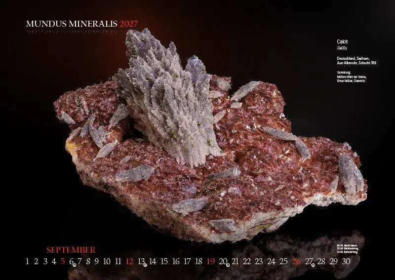 Bild: 9783957561558 | MUNDUS MINERALIS 2027 | Die Welt der Mineralien | Jörg Neubert | 2027