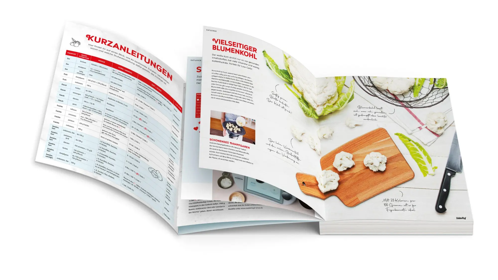 Bild: 9783964171658 | mein ZauberTopf Einfach lecker! Abnehmen mit LOW CARB | Taschenbuch