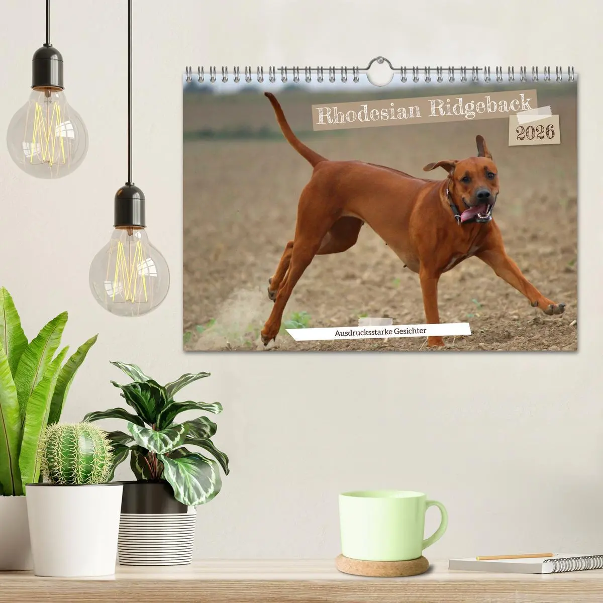 Bild: 9783457591758 | Rhodesian Ridgeback - Ausdrucksstarke Gesichter (Wandkalender 2026...