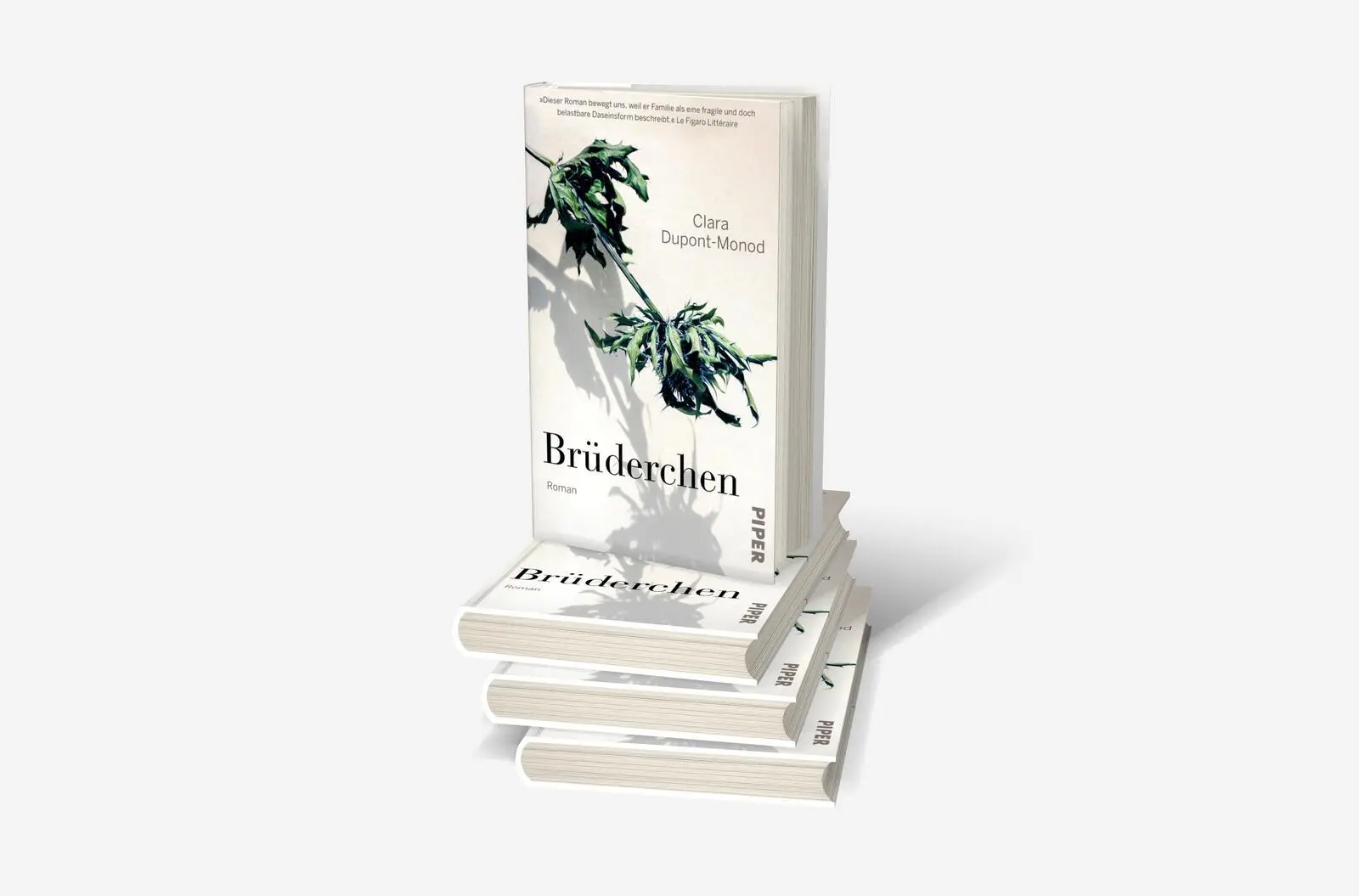 Bild: 9783492071758 | Brüderchen | Clara Dupont-Monod | Buch | 174 S. | Deutsch | 2023