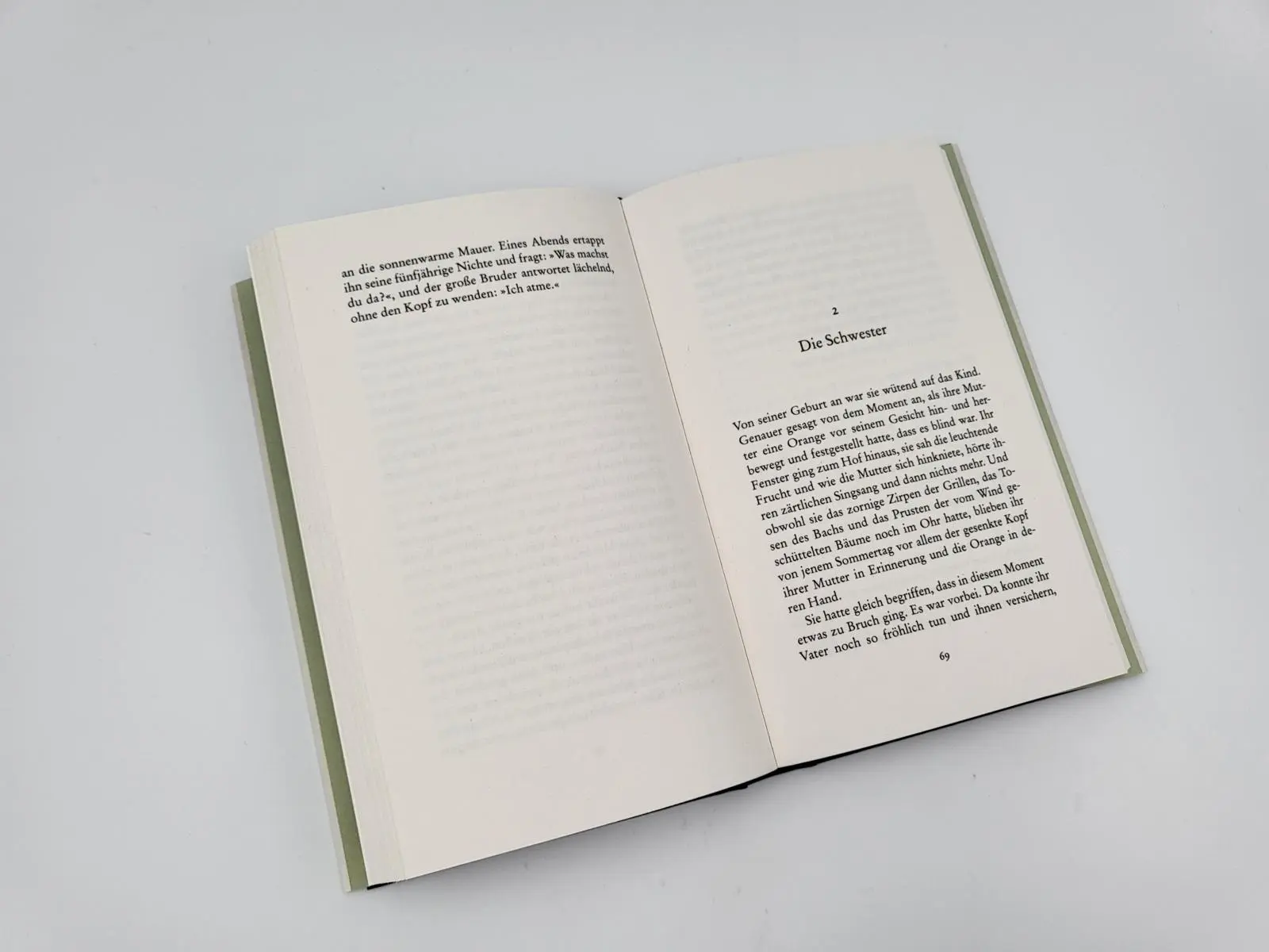 Bild: 9783492071758 | Brüderchen | Clara Dupont-Monod | Buch | 174 S. | Deutsch | 2023