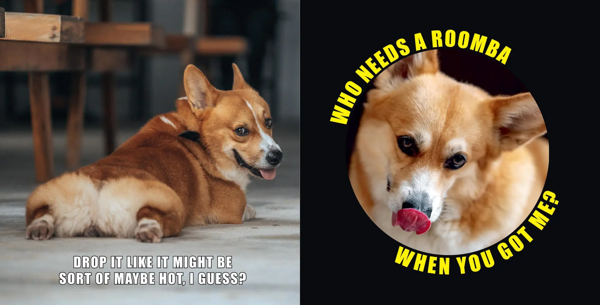 Bild: 9781454951858 | No Thoughts Just Corgis | A Comprehensive Compendium of Cuteness | Co