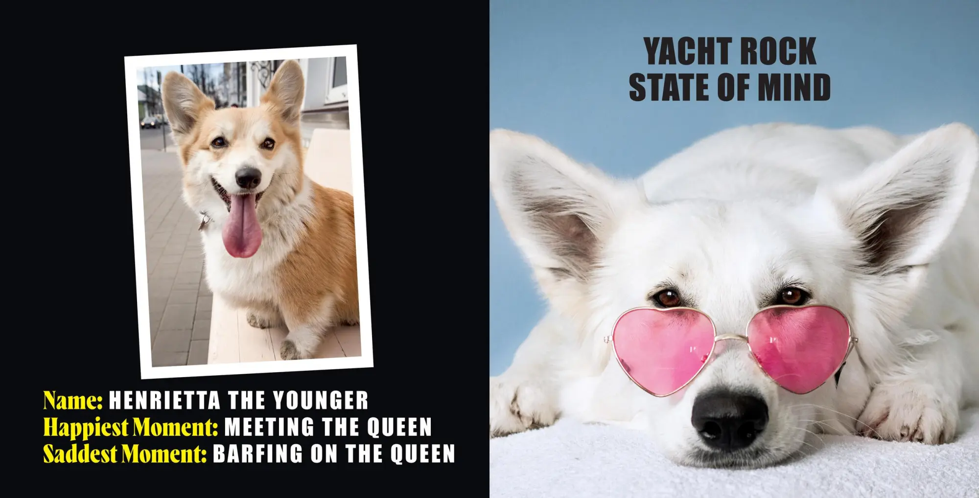 Bild: 9781454951858 | No Thoughts Just Corgis | A Comprehensive Compendium of Cuteness | Co