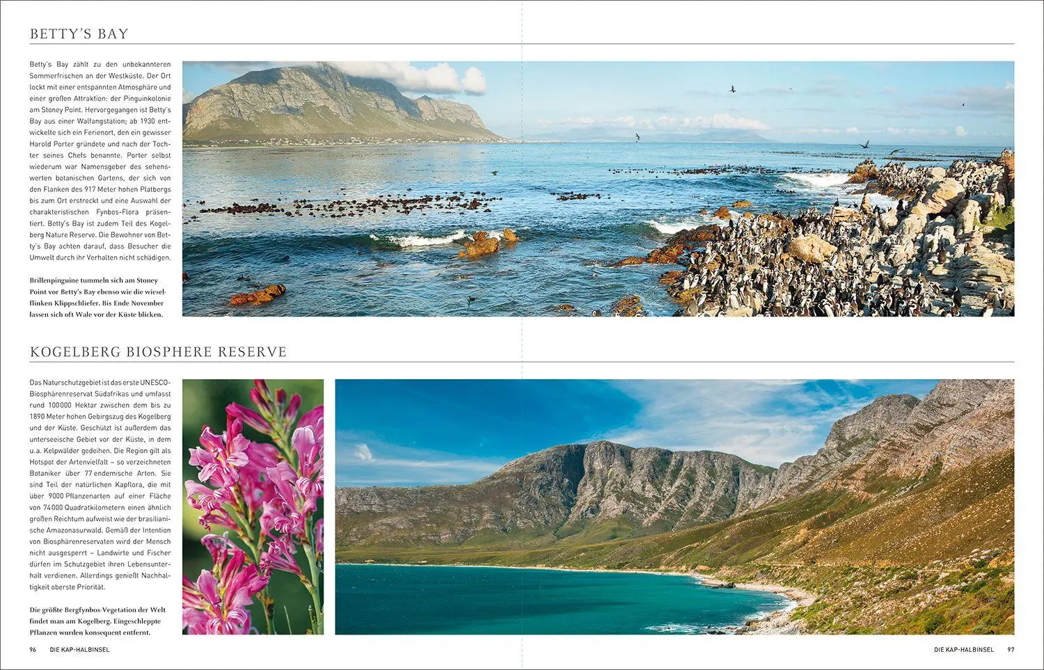 Bild: 9783969651858 | KUNTH Südafrika. Das Buch (Magnum-Ausgabe) | Daniela Schetar (u. a.)