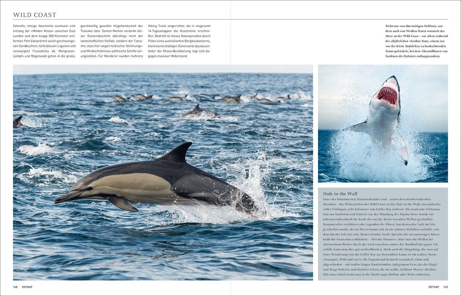 Bild: 9783969651858 | KUNTH Südafrika. Das Buch (Magnum-Ausgabe) | Daniela Schetar (u. a.)