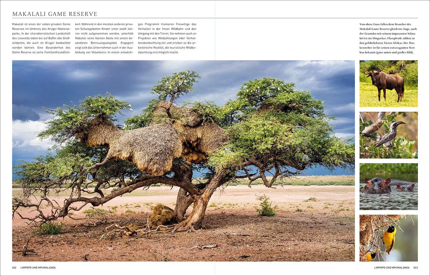 Bild: 9783969651858 | KUNTH Südafrika. Das Buch (Magnum-Ausgabe) | Daniela Schetar (u. a.)
