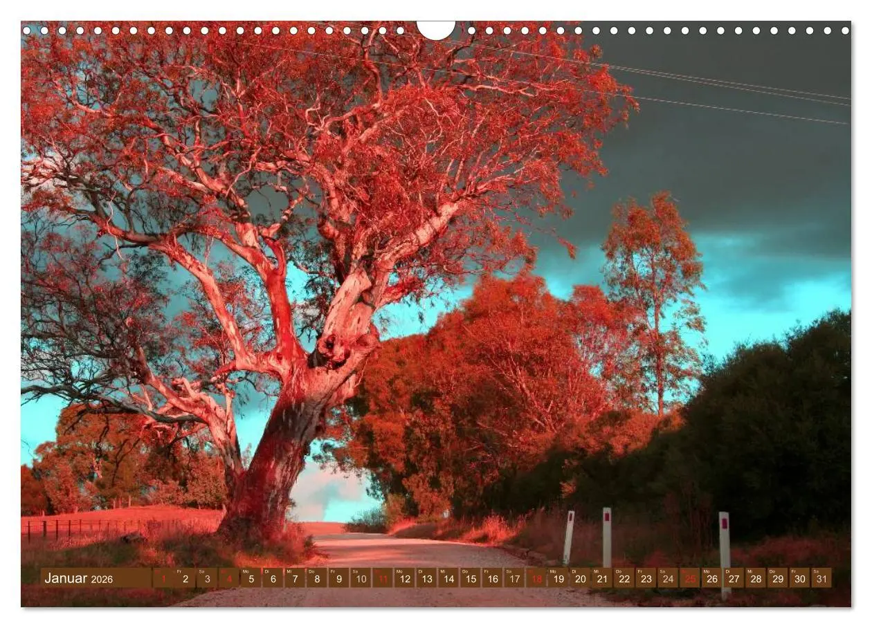 Bild: 9783516111958 | Australien ¿ Impressionen (Wandkalender 2026 DIN A3 quer), CALVENDO...