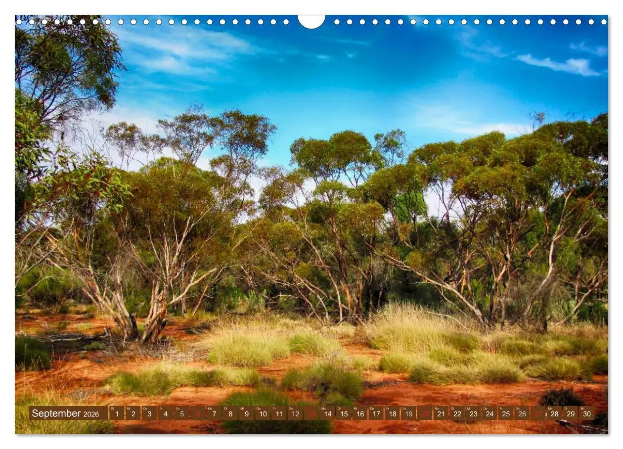 Bild: 9783516111958 | Australien ¿ Impressionen (Wandkalender 2026 DIN A3 quer), CALVENDO...