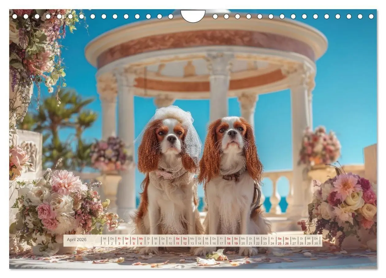Bild: 9783516731958 | Cavalier King Charles Spaniel. Die lustigsten Cavalier Momente des...
