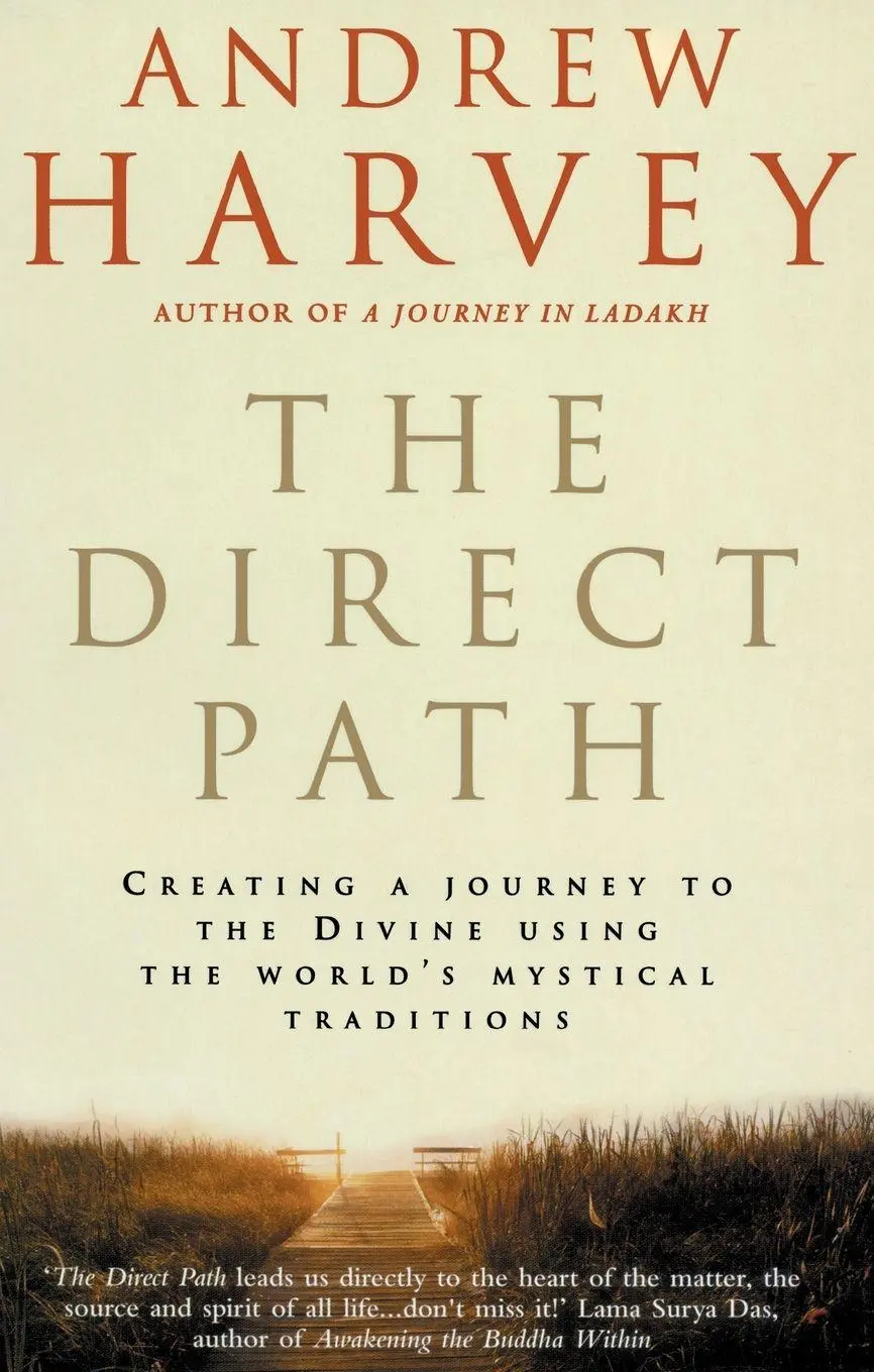 Cover: 9781846042058 | The Direct Path | Andrew Harvey | Taschenbuch | Englisch | 2009