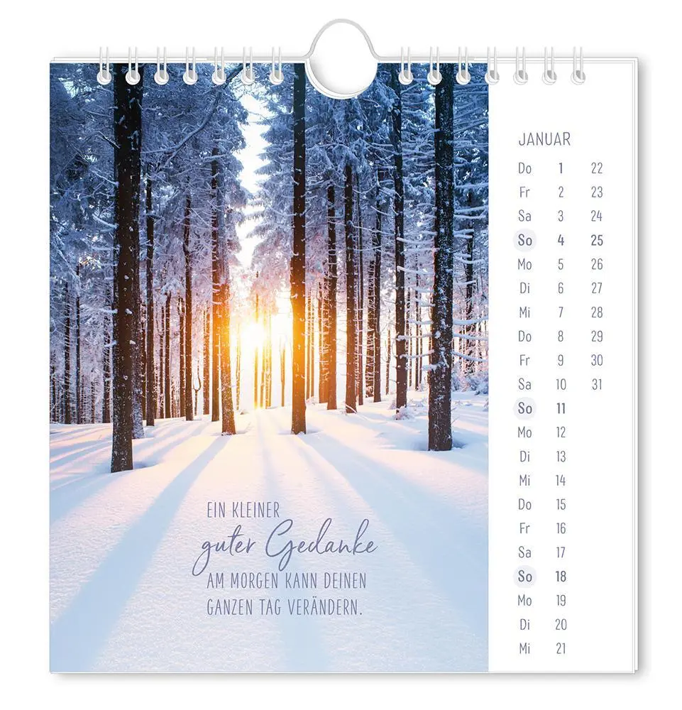 Bild: 9783986362058 | Postkartenkalender 2026 Lichtblicke | Postkartenkalender | Original