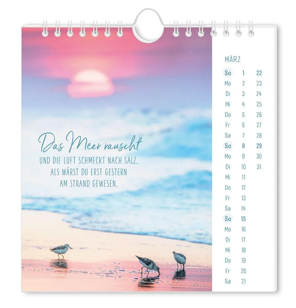 Bild: 9783986362058 | Postkartenkalender 2026 Lichtblicke | Postkartenkalender | Original