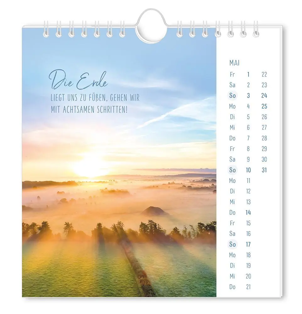 Bild: 9783986362058 | Postkartenkalender 2026 Lichtblicke | Postkartenkalender | Original