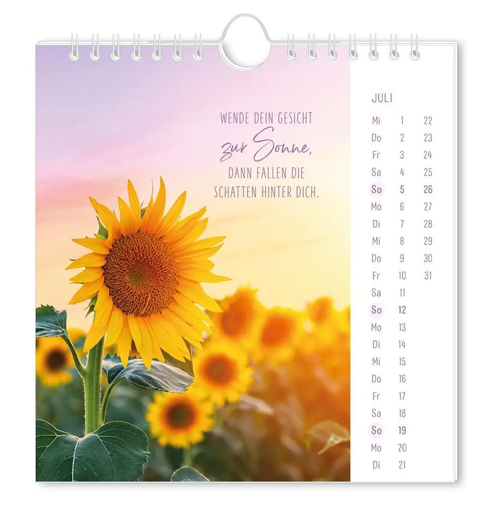 Bild: 9783986362058 | Postkartenkalender 2026 Lichtblicke | Postkartenkalender | Original