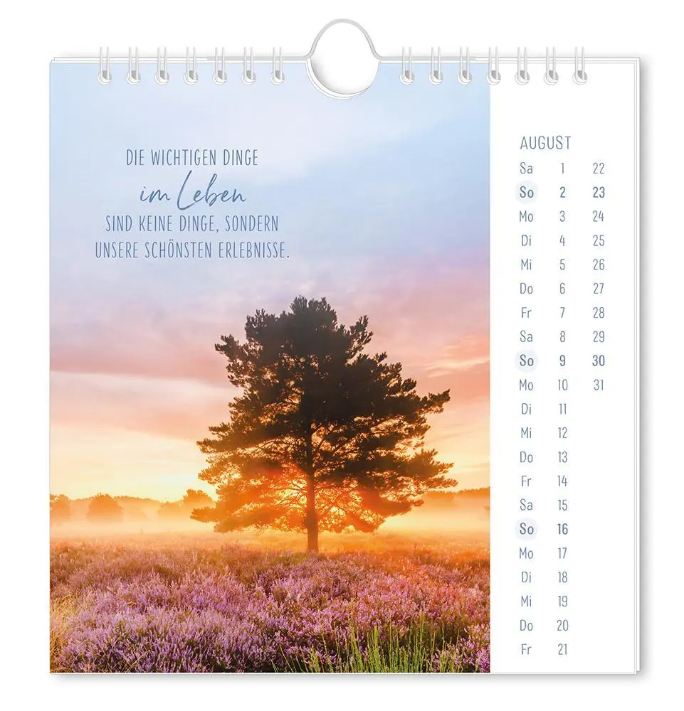 Bild: 9783986362058 | Postkartenkalender 2026 Lichtblicke | Postkartenkalender | Original
