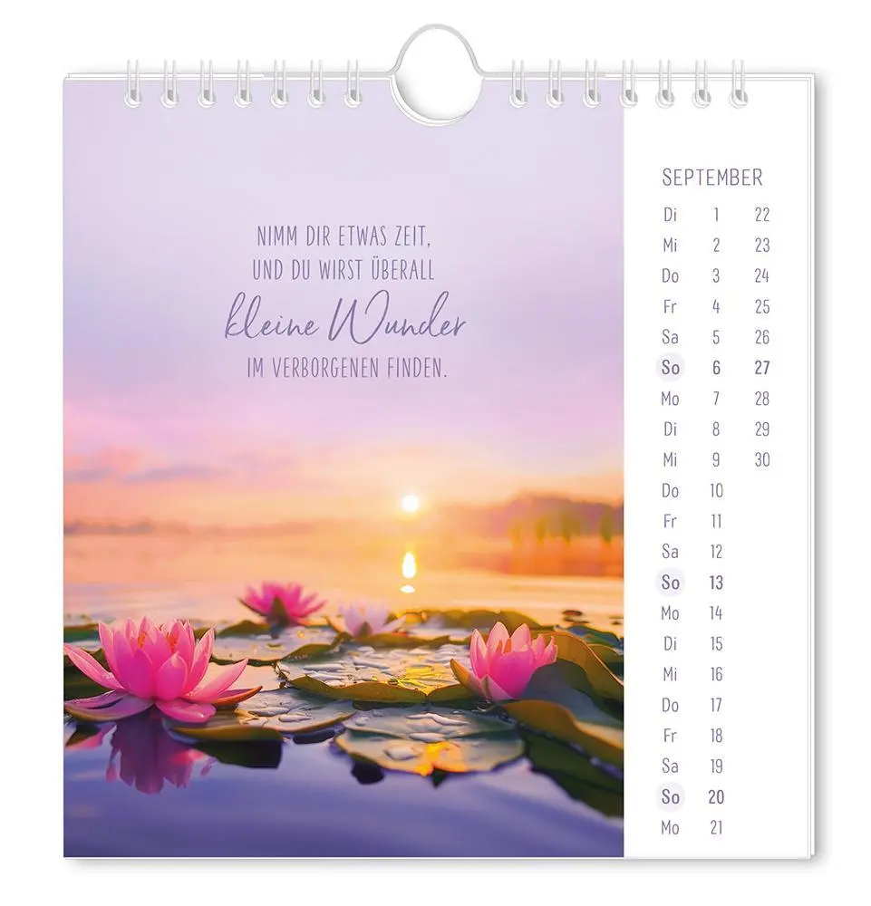 Bild: 9783986362058 | Postkartenkalender 2026 Lichtblicke | Postkartenkalender | Original