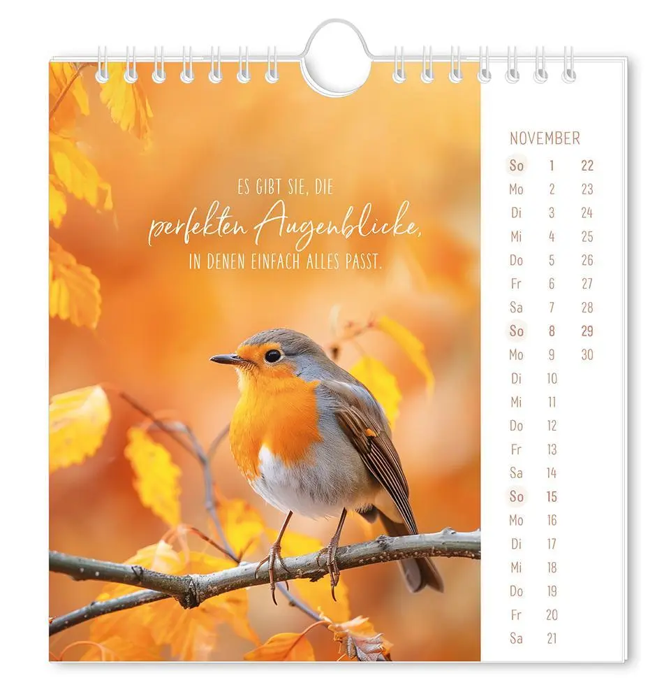 Bild: 9783986362058 | Postkartenkalender 2026 Lichtblicke | Postkartenkalender | Original