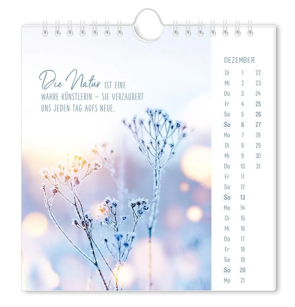Bild: 9783986362058 | Postkartenkalender 2026 Lichtblicke | Postkartenkalender | Original
