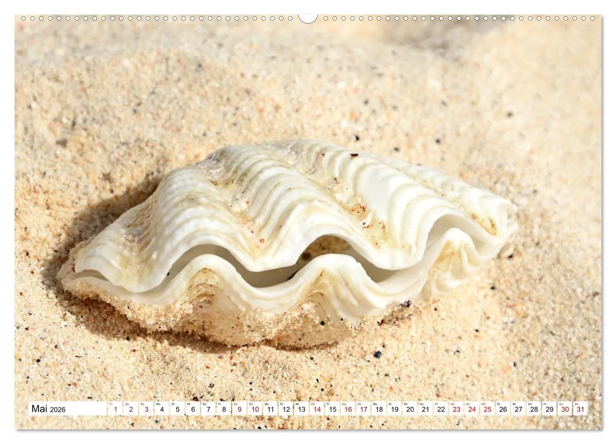 Bild: 9783457832158 | Rarotonga - Trauminsel im Südpazifik. (Wandkalender 2026 DIN A2...