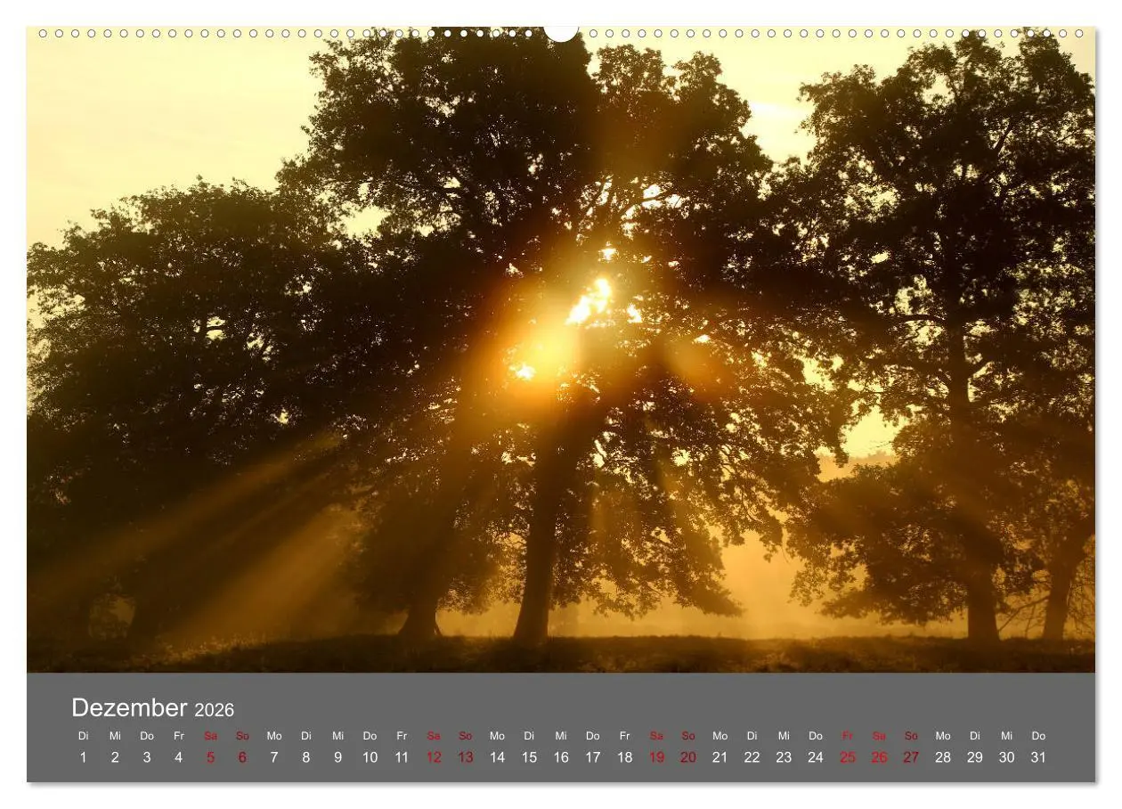 Bild: 9783457902158 | Wahner Heide - Aussichten und Begegnungen (Wandkalender 2026 DIN A2...