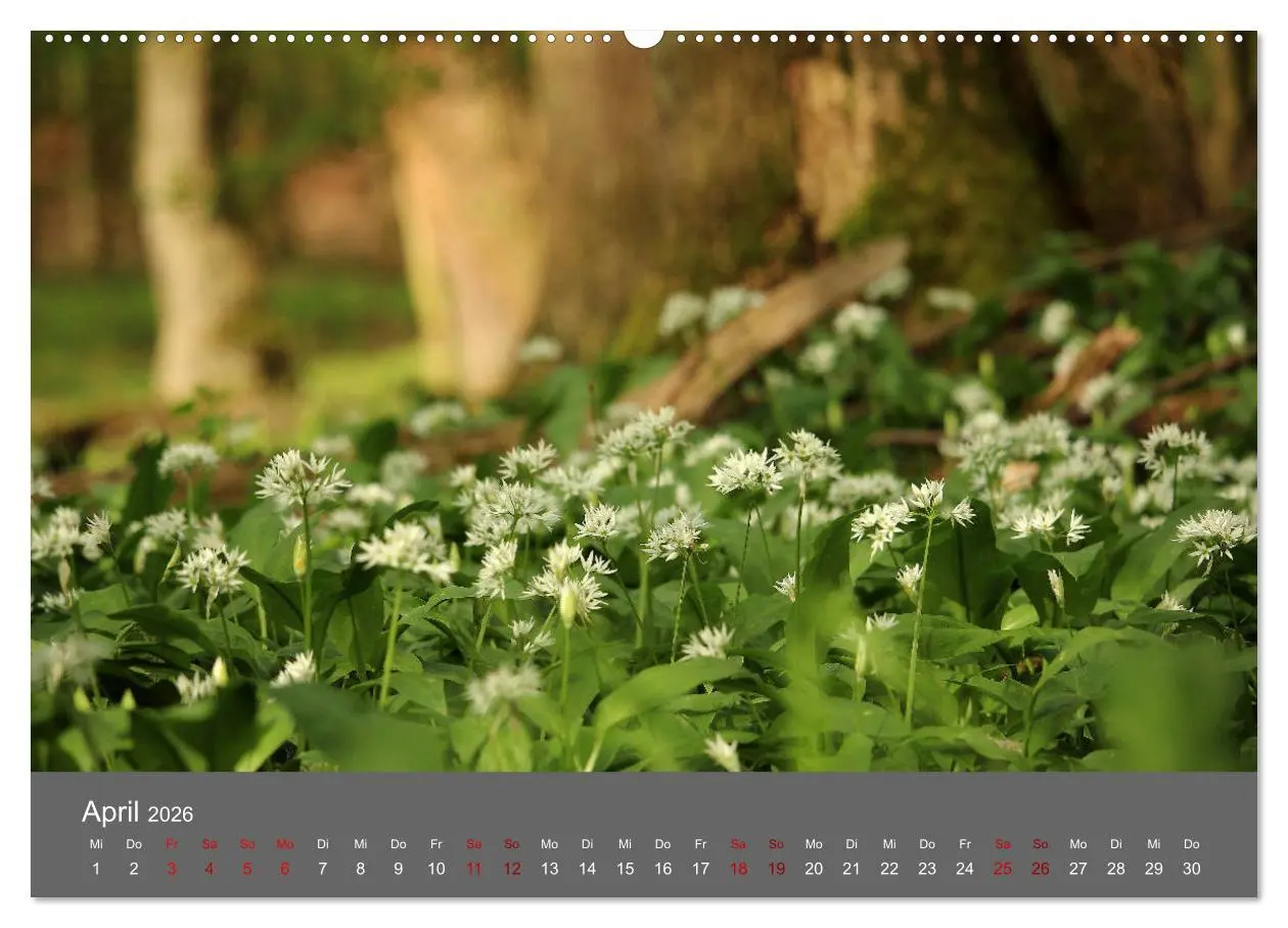 Bild: 9783457902158 | Wahner Heide - Aussichten und Begegnungen (Wandkalender 2026 DIN A2...