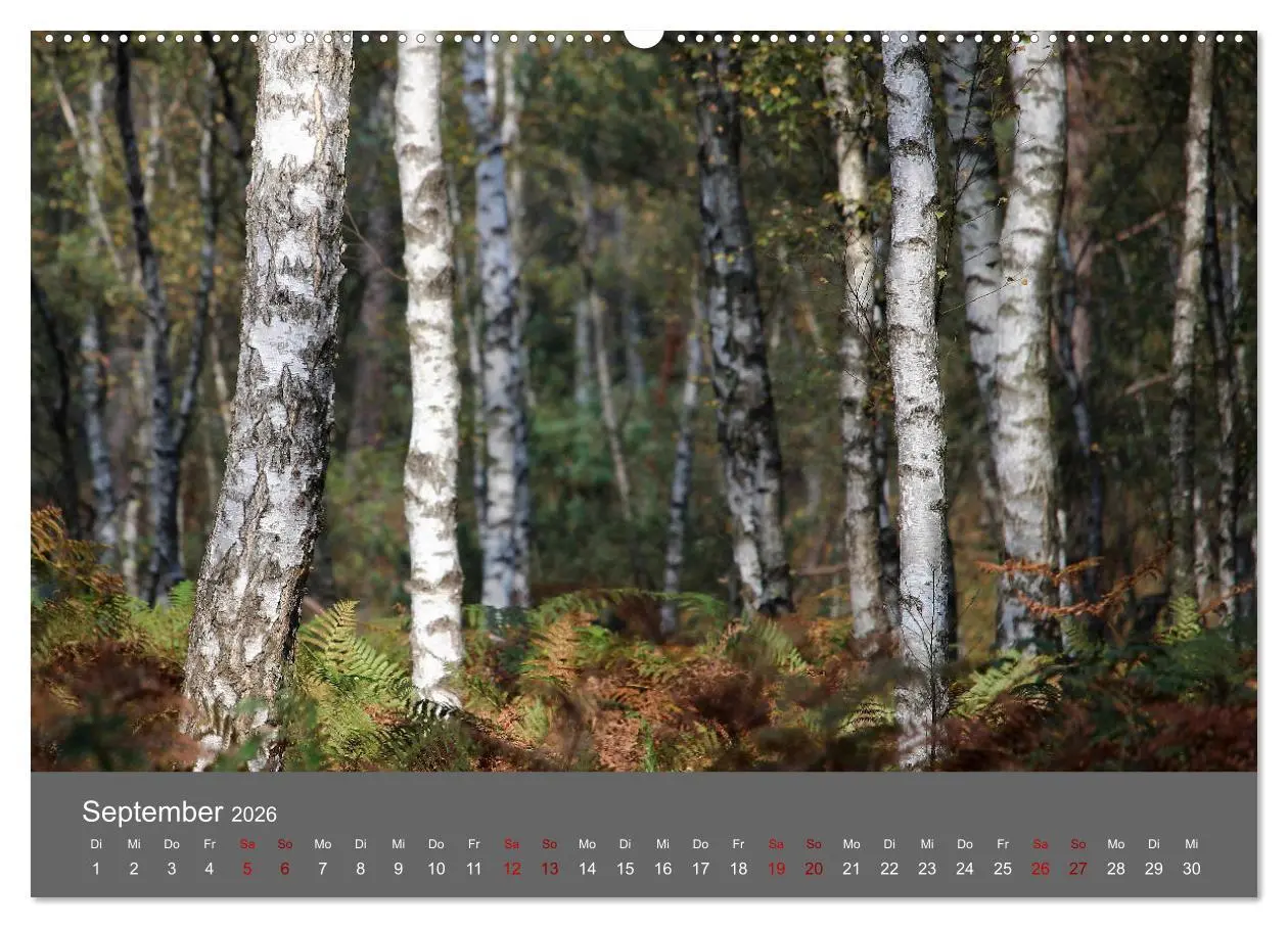 Bild: 9783457902158 | Wahner Heide - Aussichten und Begegnungen (Wandkalender 2026 DIN A2...