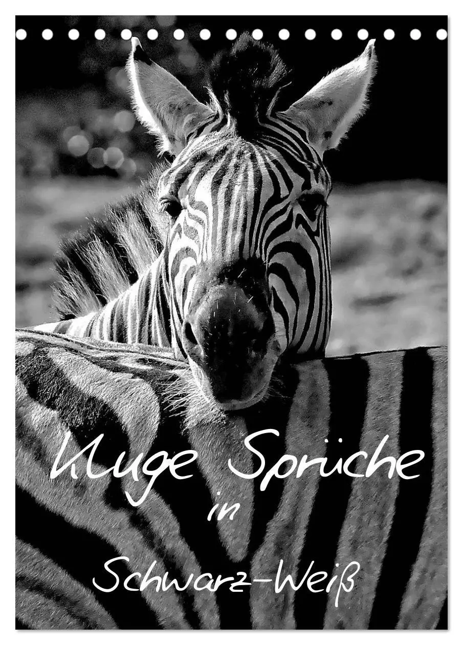 Cover: 9783516462258 | Kluge Sprüche in Schwarz-Weiß (Tischkalender 2026 DIN A5 hoch),...