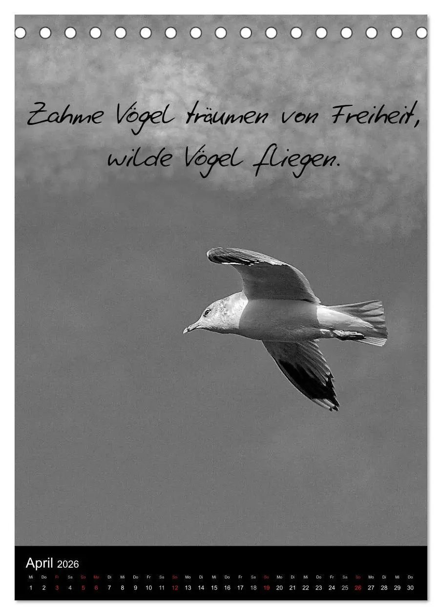 Bild: 9783516462258 | Kluge Sprüche in Schwarz-Weiß (Tischkalender 2026 DIN A5 hoch),...