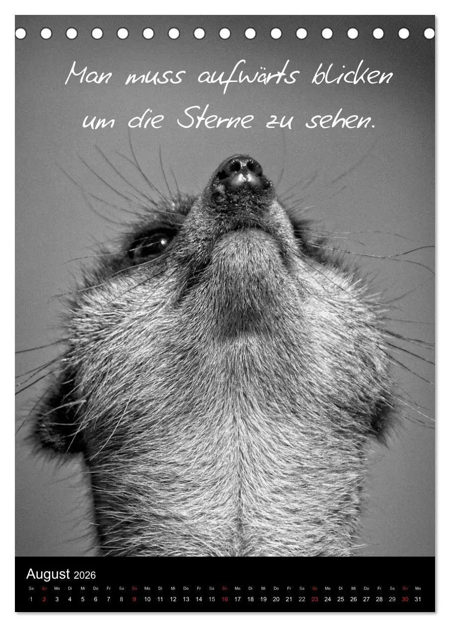 Bild: 9783516462258 | Kluge Sprüche in Schwarz-Weiß (Tischkalender 2026 DIN A5 hoch),...