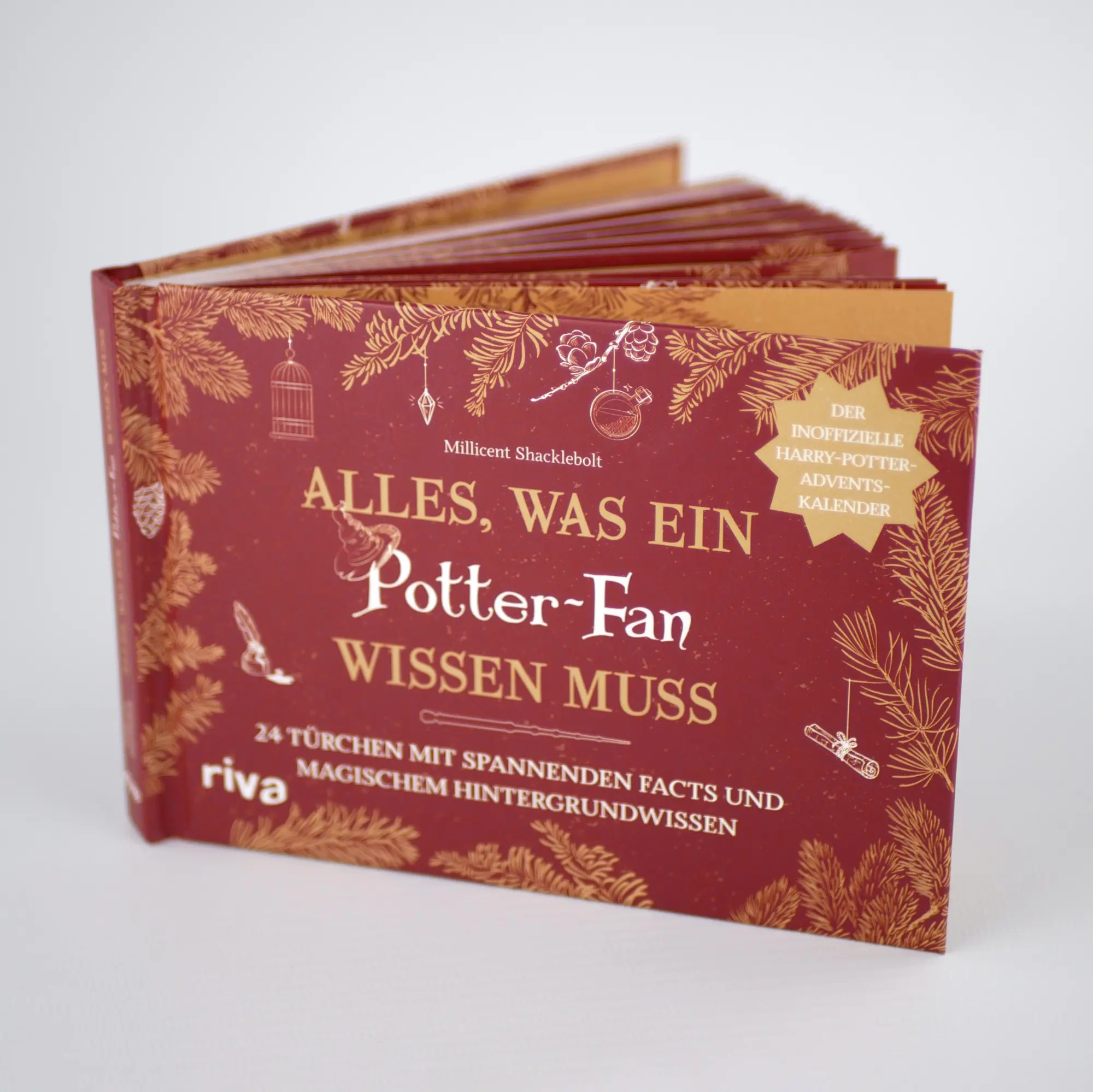 Bild: 9783742322258 | Alles, was ein Potter-Fan wissen muss | Millicent Shacklebolt | Buch