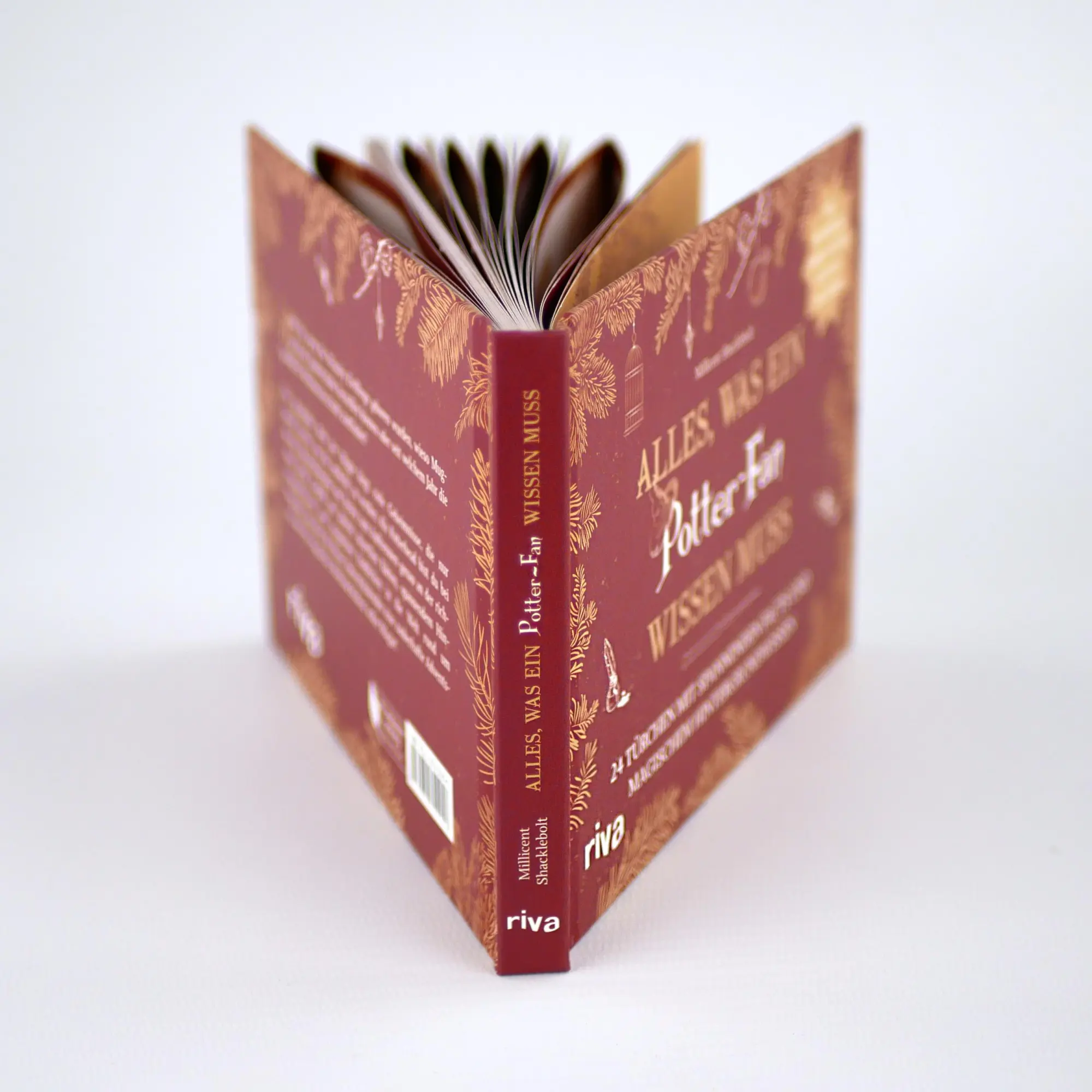 Bild: 9783742322258 | Alles, was ein Potter-Fan wissen muss | Millicent Shacklebolt | Buch