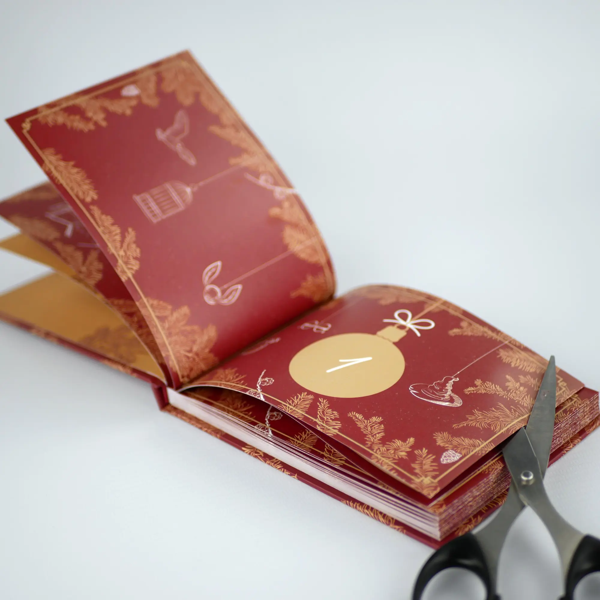 Bild: 9783742322258 | Alles, was ein Potter-Fan wissen muss | Millicent Shacklebolt | Buch